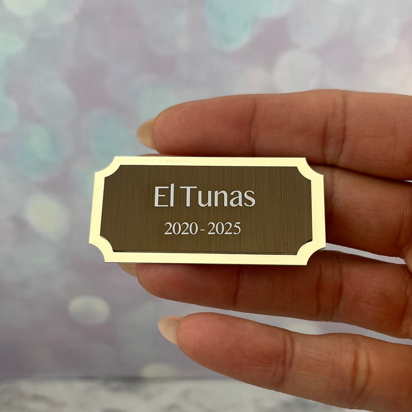 Placa para urna