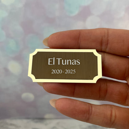 Placa para urna