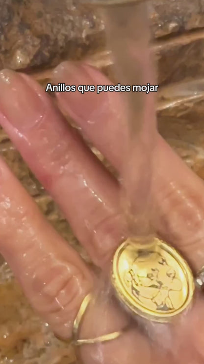 Anillo ovalado foto